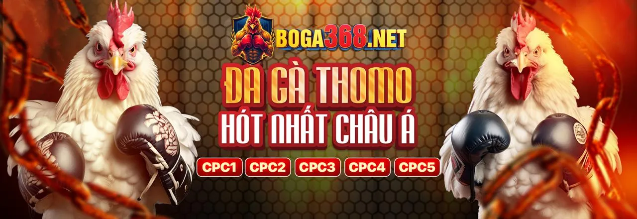 Các tổ chức hỗ trợ chuyên nghiệp về trách nhiệm cờ bạc