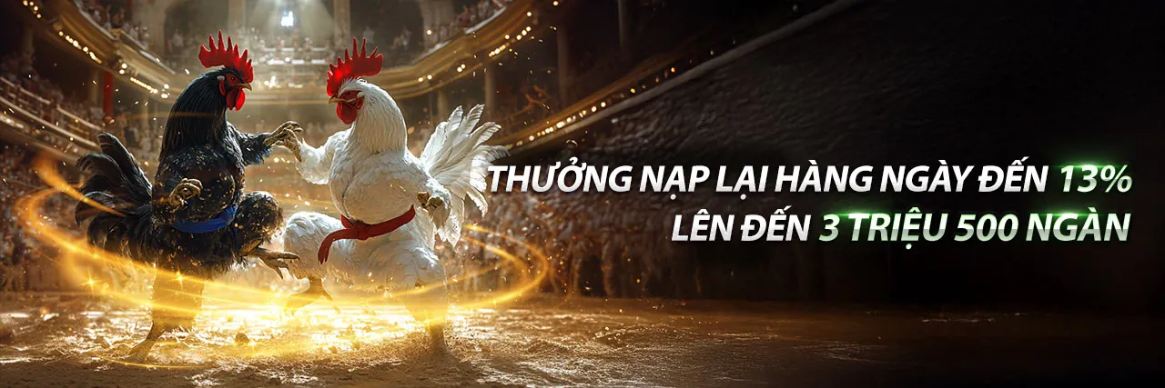 TV8825 – Nền tảng cá cược trực tuyến hàng đầu