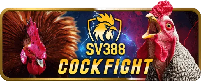 Đăng ký nhận ưu đãi TV8825